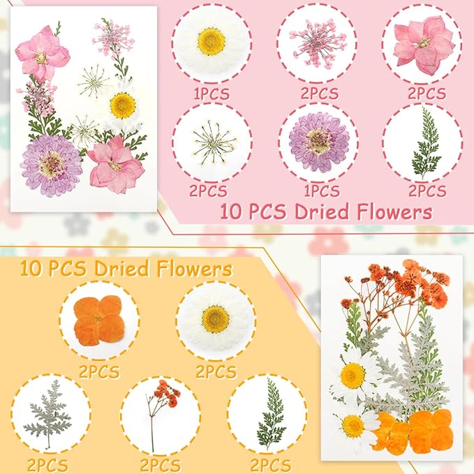 Real Dried Pressed Leaves for Candle Resin Jewelry Soap Nail Pendant Phone Case Crafts Making Floral Decors Scrapbooking DIY (40 Pcs Natural Leaf Flowers)