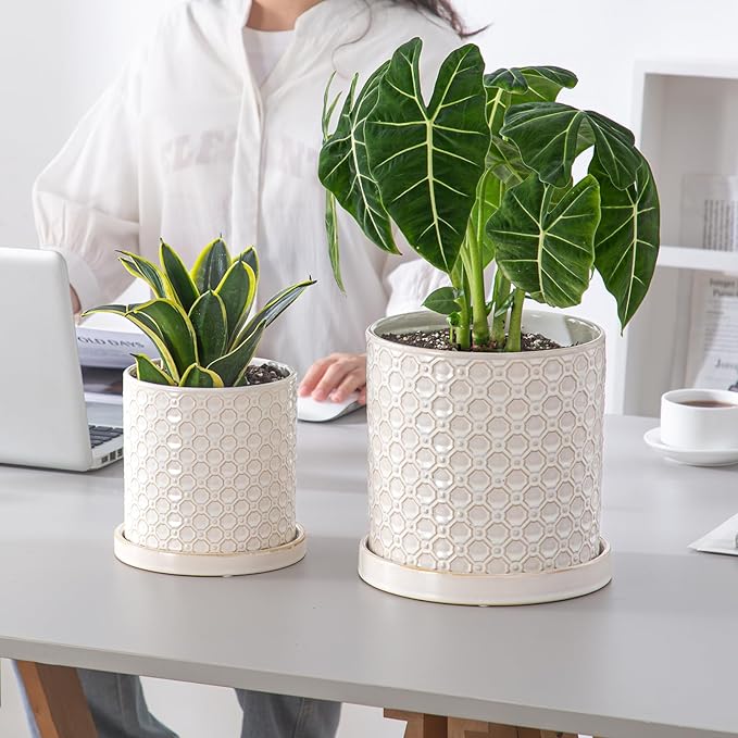 6 Inch Plant Pot: Ceramic Planter with Drainage Hole & Saucer Indoor Outdoor Plants - Cylinder Round Flower Pot for Home Office - Modern Decorative - Small White