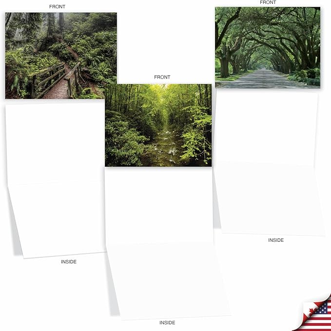 The Best Card Company - 20 Landscape Nature Note Cards Blank (4 x 5.12 Inch) (10 Designs, 2 Each) - Nature Trails AM6467OCB-B2x10