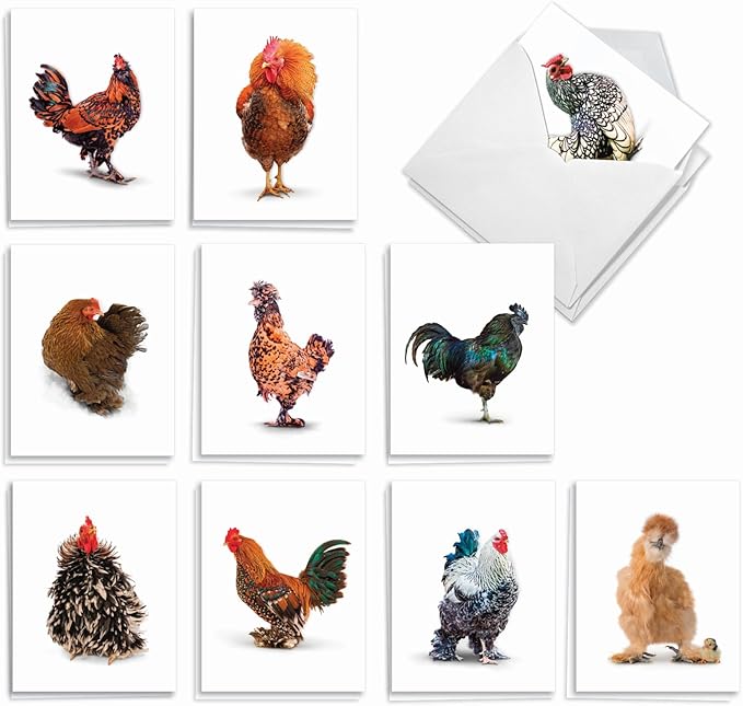 The Best Card Company - 20 Blank Birds Notes with Envelopes - All Occasion Chicken Assortment (10 Designs, 2 Each) - Exotic Roosters AM7059OCB-B2x10
