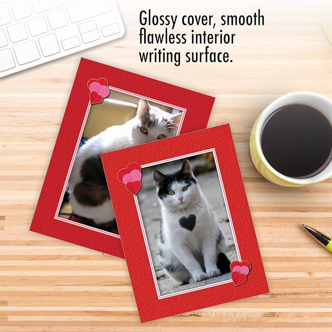 The Best Card Company - 10 All Occasion Blank Cat Cards (4 x 5.12 Inch) - Cute Assorted Bulk Card Set - Heartfelt Cats M5658OCB-B1x10
