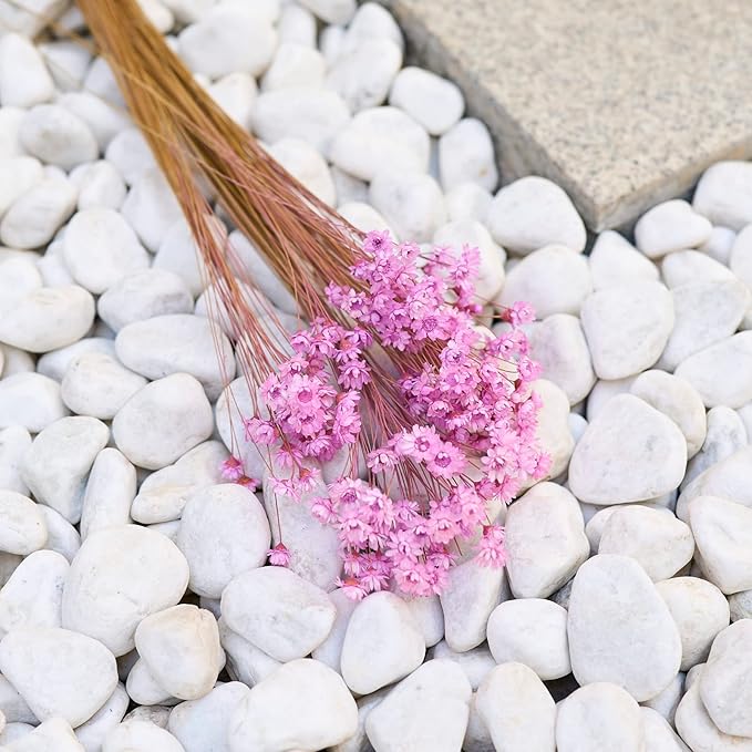 Natural - Dried - Flowers Brazilian Small Star Daisy Dried Decorative Mini Chamomile Bouquet for Wedding Floral Arrangements Home Decorations Valentine's Day Gifts (200 Stems) (Light Purple )