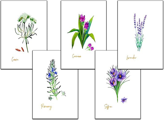 Vintage Herb Greeting Cards, 5x7 Inches, Set of 10 with Decorative Stickers, Blank Inside.