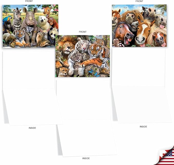 The Best Card Company - 10 Blank Animal Cards Box Set (4 x 5.12 Inch) - Bulk Assorted Pets, Horses, Wildlife Cards for Men and Women, Camp - Here's Looking at Zoo M6639OCB