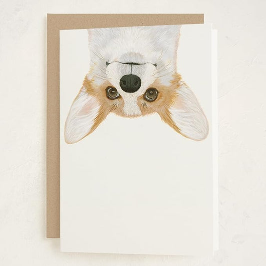 Minted Corgi Dog Greeting Cards – 5 Pack of Folded 5x7 Blank Greeting Cards on Paper with Matching Envelopes | All Occasion Stationery Set for Birthdays, Thank You, Congratulations, Everyday Notes