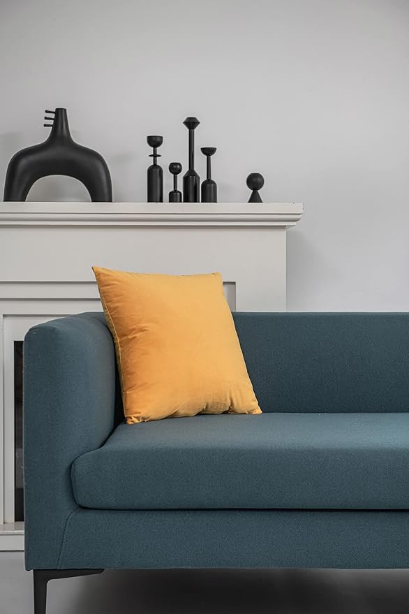 Couch Pillow Covers 22x22 Golden Yellow: 2 Pack Cozy Soft Velvet Square Throw Pillow Cases for Farmhouse Home Decor