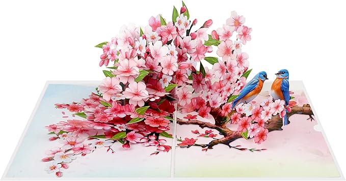 Cherry Blossom Flower Greeting Cards Pop Up 3D Gift for Happy Birthday, Anniversary, Thank you, Robin Bird All Occasions Mom Wife Grandma Grand Parent Couples Men Women
