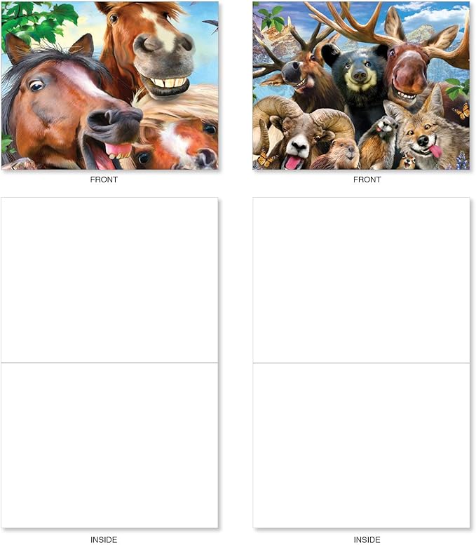 The Best Card Company - 20 Assorted Bulk Animal Cards Boxed (4 x 5.12 Inch) (10 Designs, 2 Each) - Here's Looking At Zoo AM6639OCB-B2x10