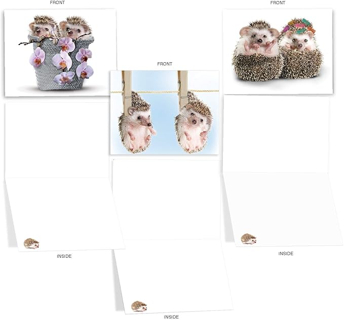 The Best Card Company - 10 Blank Animal Cards Boxed (4 x 5.12 Inch) - Assorted Pets, Zoo, Wildlife Cards for Kids - Cards from the Hedge M6541OCB