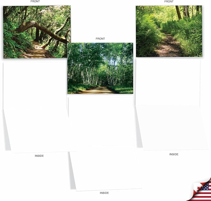 The Best Card Company - 20 Landscape Nature Note Cards Blank (4 x 5.12 Inch) (10 Designs, 2 Each) - Nature Trails AM6467OCB-B2x10