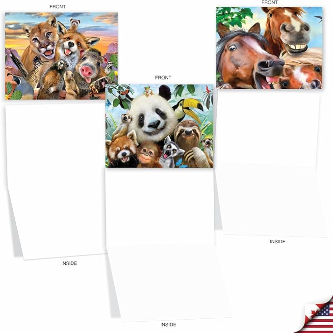 The Best Card Company - 20 Assorted Bulk Animal Cards Boxed (4 x 5.12 Inch) (10 Designs, 2 Each) - Here's Looking At Zoo AM6639OCB-B2x10
