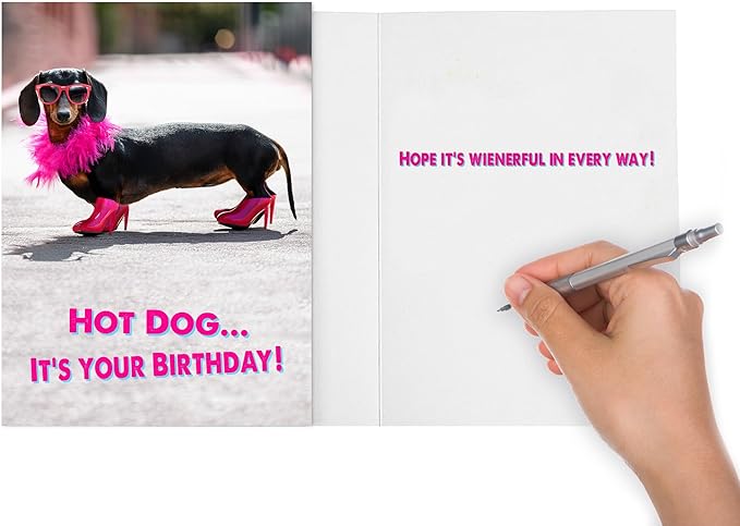 Funny Birthday Card, Funny Birthday Cards for Women, Men, Sister, Brother, kids, Friends, all the wienerful people in your life