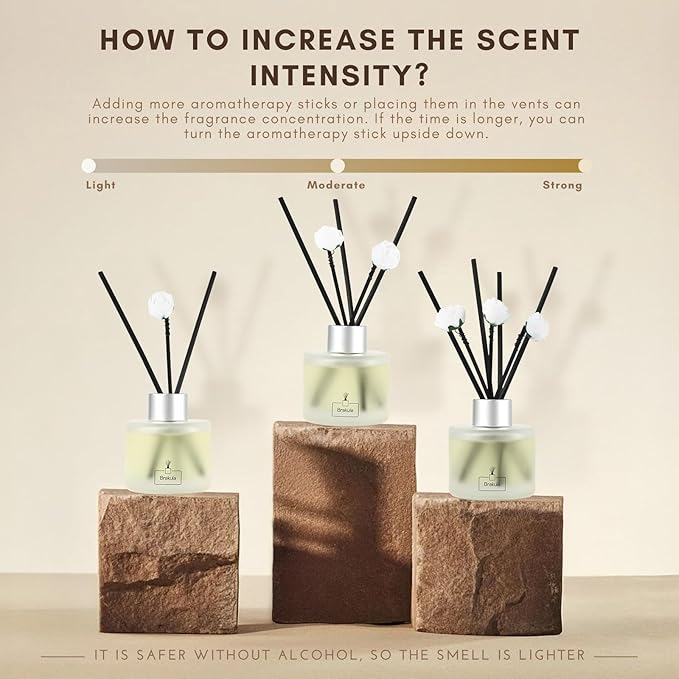 Brakula 2 Pack Reed Diffuser Set, Bamboo White Tea Scented, Home Fragrance with 14 Sticks Bathroom Decor, Reed diffusers for Home 6.76 fl oz (Bamboo White Tea)