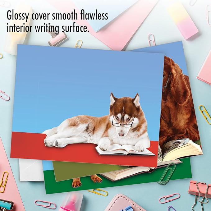 The Best Card Company - 10 Blank Dog Greeting Cards for All Occasions (4 x 5.12 Inch) - Reading Eye Dogs M3967