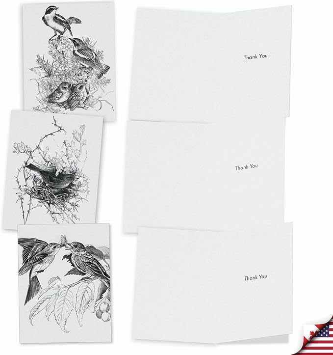 The Best Card Company - 10 Bird Note Cards Blank (4 x 5.12 Inch) - All Occasion Cards with Envelopes, Boxed Set - Wing Notes M6475OCB
