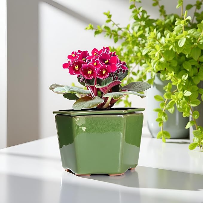 African Violet Pots 6 inch Hexagon Self-Watering Ceramic Pots 4.50'' Opening(Green)