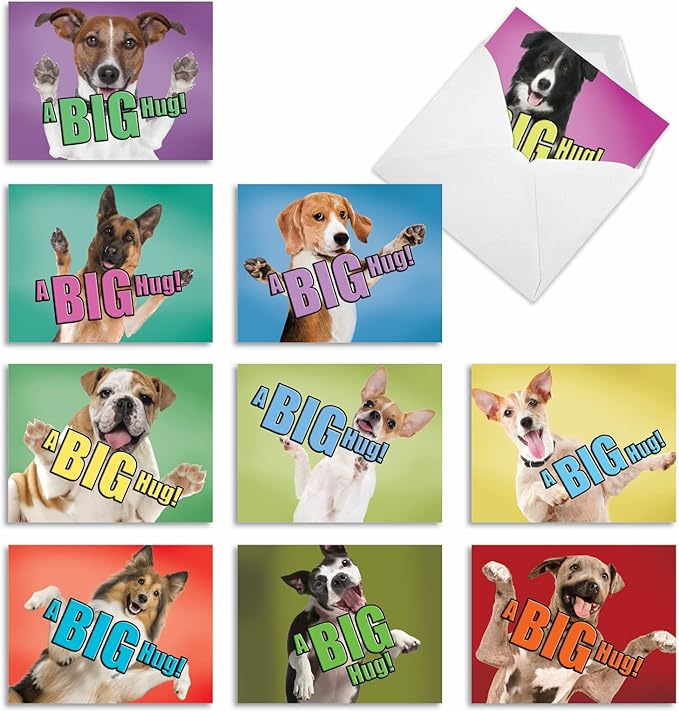 The Best Card Company - 10 Blank Dog Greeting Cards All Occasions for Men and Women (4 x 5.12 Inch) - Dog A Big Hug M6615OCB