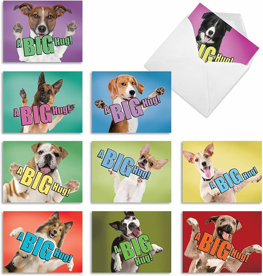 The Best Card Company - 10 Blank Dog Greeting Cards All Occasions for Men and Women (4 x 5.12 Inch) - Dog A Big Hug M6615OCB