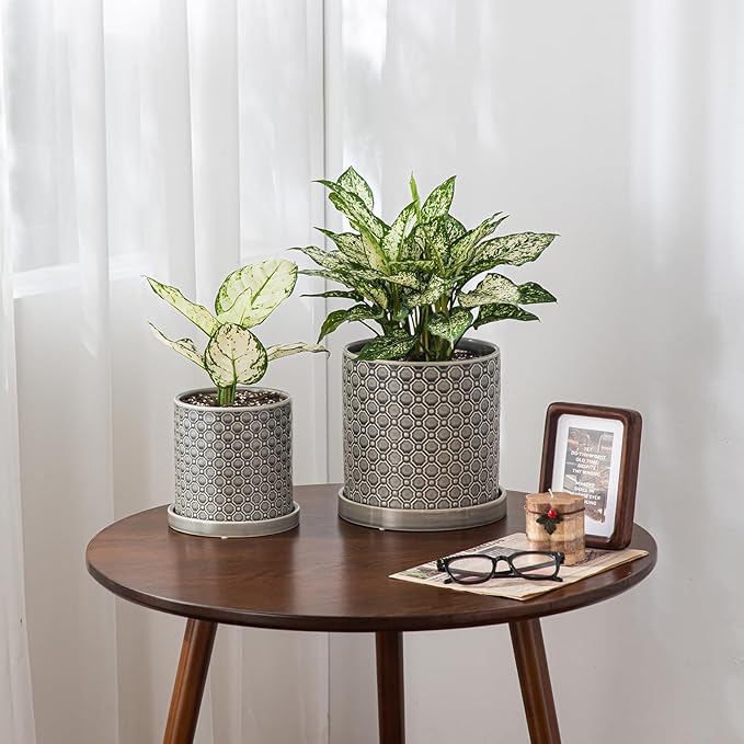 8 Inch Plant Pot: Ceramic Planter with Drainage Hole & Saucer Indoor Outdoor Plants - Cylinder Round Flower Pot for Home Office - Modern Decorative - Medium Grey