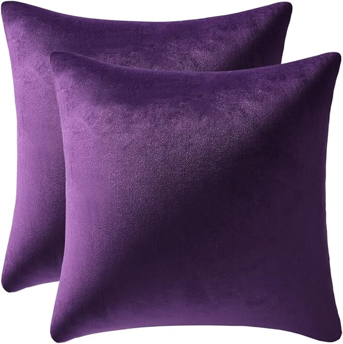 24x24 Throw Pillow Cases Purple: 2 Pack Cozy Soft Velvet Square Decorative Pillow Covers for Farmhouse Home Decor