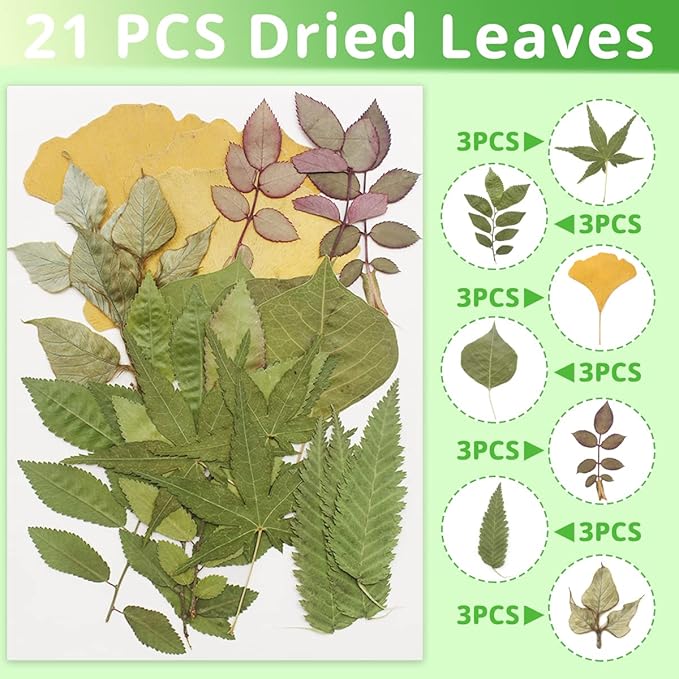Cinvo 63 Pcs Real Dried Pressed Leaves Natural Assorted Dried Greenery with Tweezer for Resin Candle Jewelry Soap Nail Pendant Phone Case Art Craft DIY Embellishment Decorations(2023