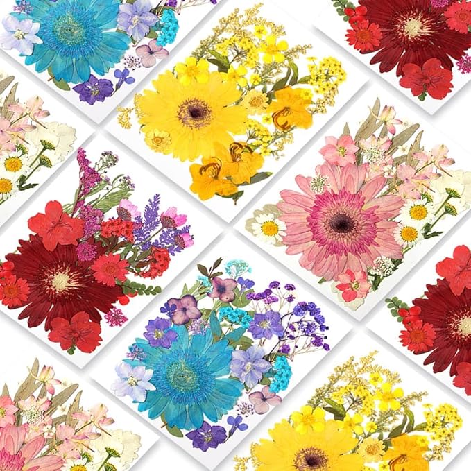 Dried Pressed Flowers for Resin Model, Real Pressed Barberton Daisy Bulk Natural Herbs Kit for Scrapbooking DIY Art Crafts, Epoxy Jewelry, Candle, Soap Making, Nails Decor