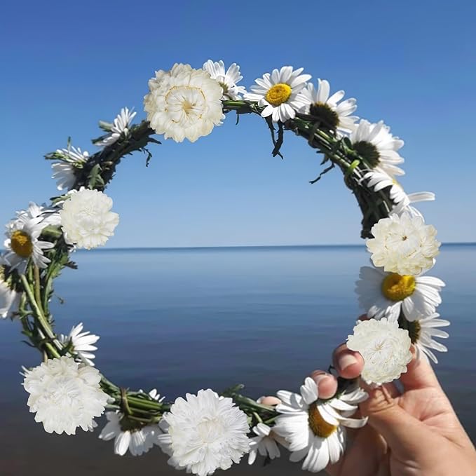 60 Pcs Natural Dried Daisy Flowers Heads Bulk Gerbera Daisies White Real Sunflowers Chrysanthemum Dry Flower Arrangements for Wedding Decor Home Party Decoration Headband DIY Craft