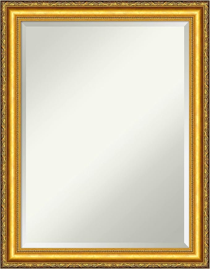 Amanti Art Gold Wall Mirror 28x22 Colonial Embossed Gold Rectangle Bathroom Mirror for Wall Decor Living Room, Medium Traditional Wood Frame, Hangs Horizonally and Vertically, Bathroom Decor, Beveled