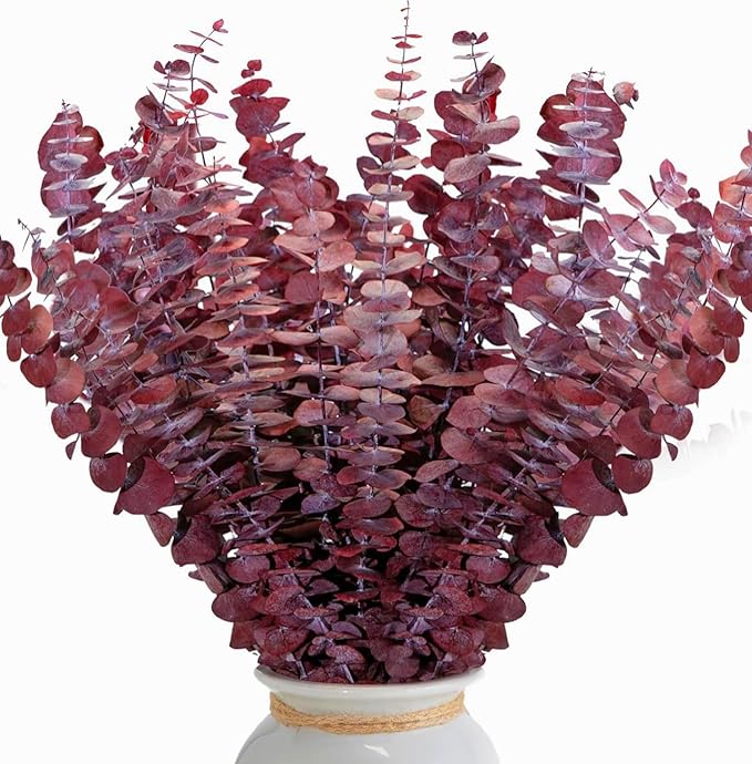 26Pcs Real Dried Fall Eucalyptus Stems, 17" Red Preserved Eucalyptus Stems for Vase, Home Decor, Farmhouse, Autumn Dried Flowers Table Centerpiece Arrangement