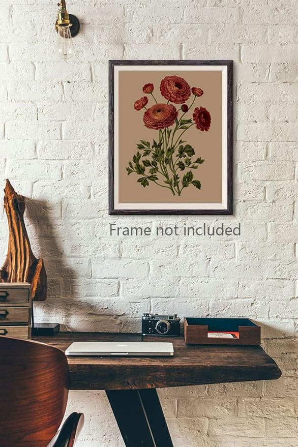 Ranunculus Flowers Prints,Vintage Floral Painting Botanical Canvas Wall Art Poster for Home Office School, Antique Botany Garden Nature Plant Flowers Artwork ,Set of 4 ( 8 x 10 in) Unframed