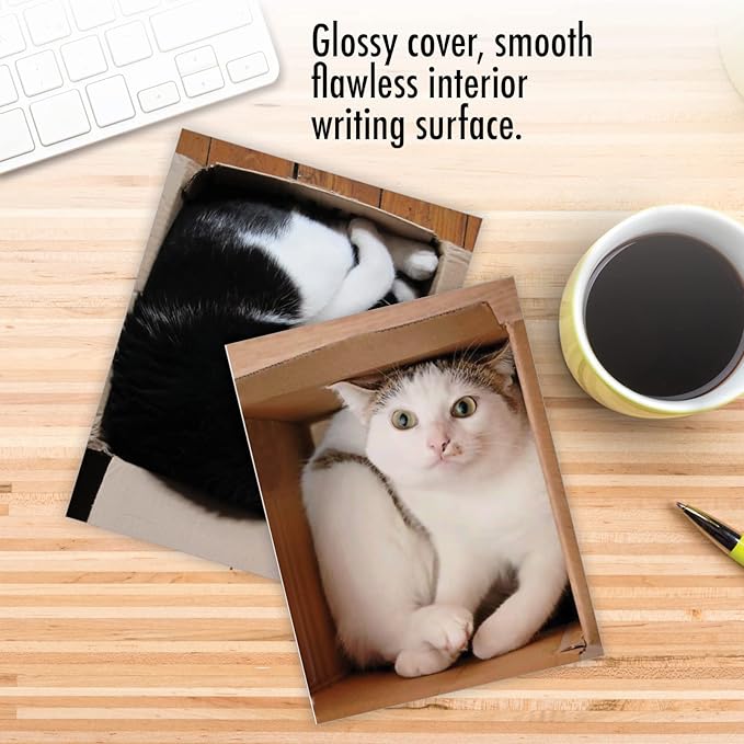 The Best Card Company - 10 All Occasion Blank Cat Cards (4 x 5.12 Inch) - Cute Assorted Bulk Card Set - Square Cats M4623OCB-B1x10-NB