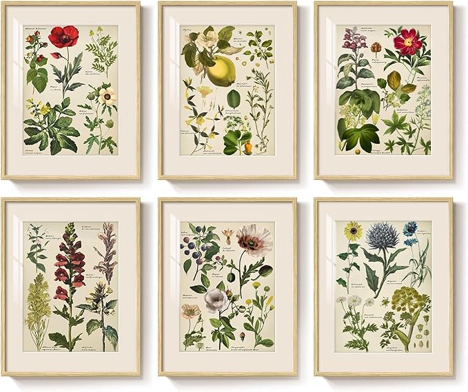 Framed Floral Botanical Wall Art, Set of 6 Green Painting Canvas Prints with Mat for Modern Farmhouse Kitchen Wall Decor, Rustic Plant Flower Pictures for Living Room Bedroom Dining Room Hallway, 11x14