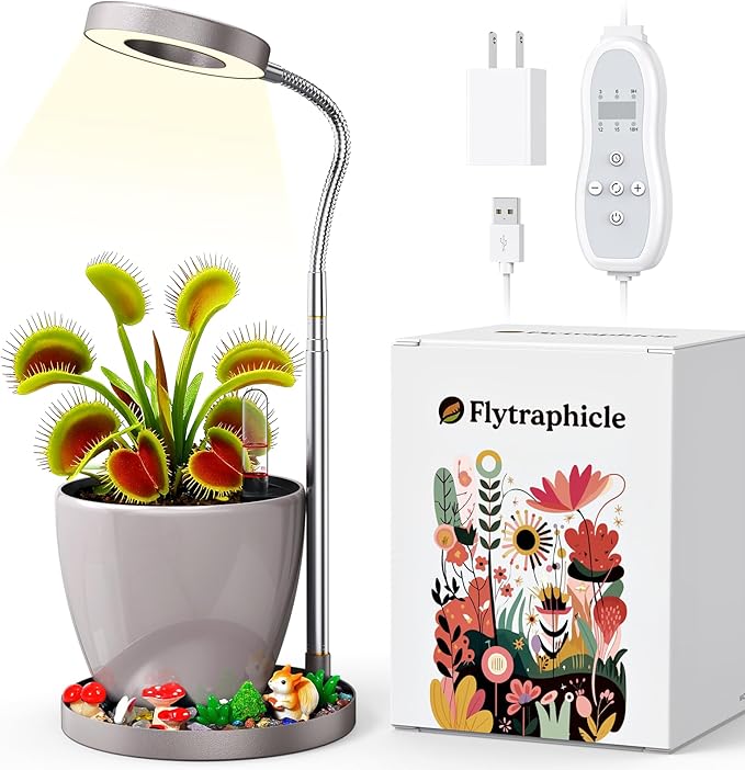 Venus Fly Trap Terrarium,Butterwort Plant Live Pot,Not Live Plant, Automatic Irrigation System Keeps Potted Soil Moist Makes a Great Gift Choice, Home Office Decor