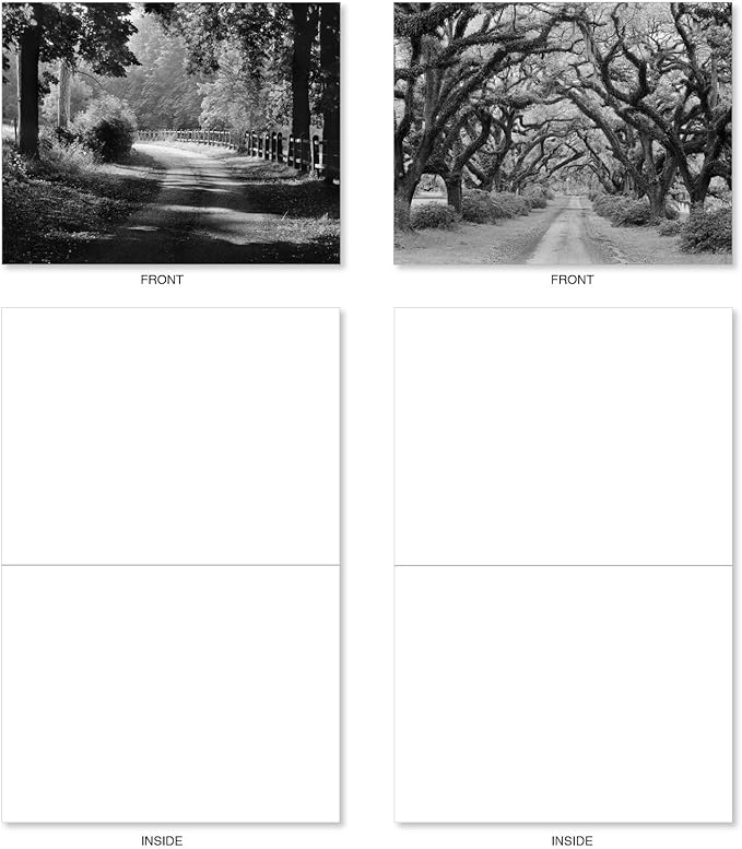 The Best Card Company - 20 All Occasion Blank Greeting Cards (4 x 5.12 Inch) - Monocolor Photos (10 Designs, 2 Each) - Tree Lines AM3313OCB-B2x10