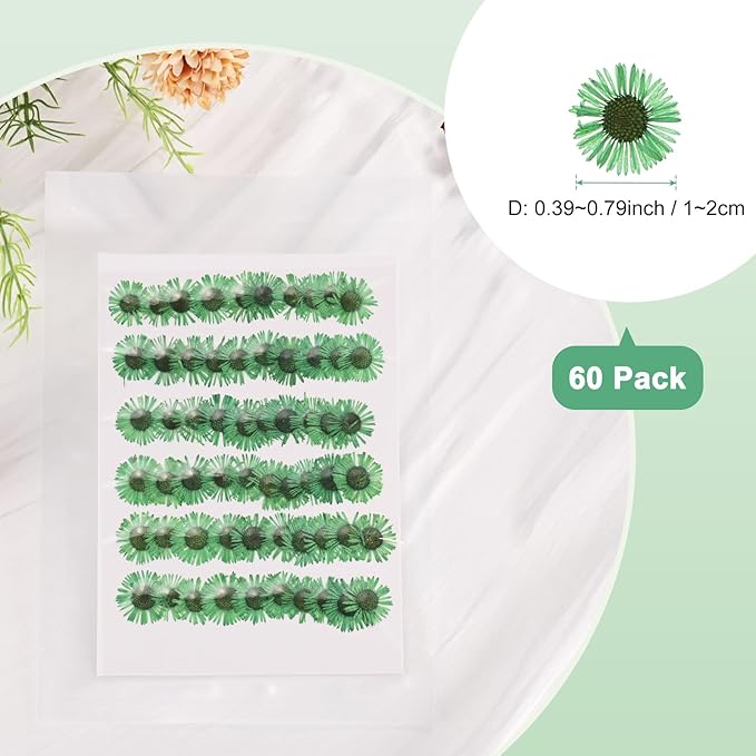 60-Pack Dried Pressed Flowers for Resin, Real Natural Bulk Dry Floral for Crafts/DIY Jewelry/Soap Making/Scrapbooking/Handmade Candle/Epoxy Resin Supplies [Green]