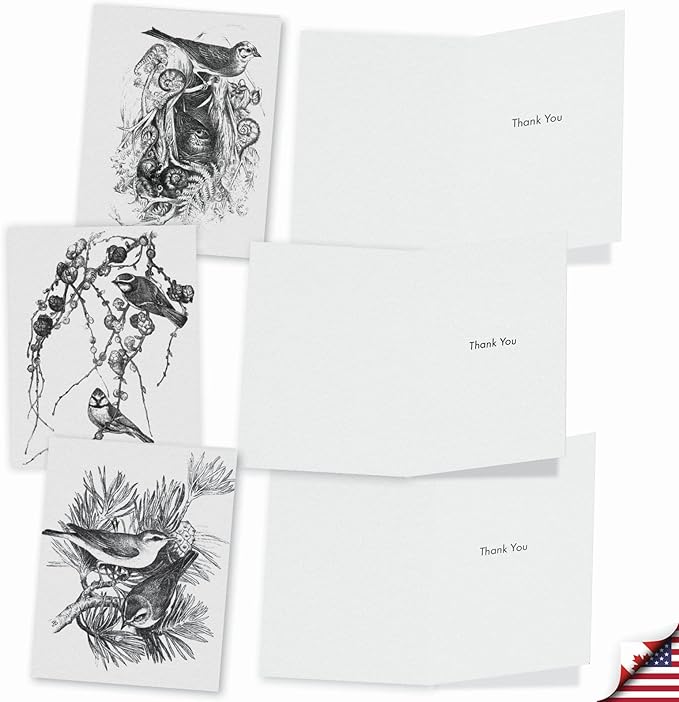 The Best Card Company - 10 Bird Note Cards Blank (4 x 5.12 Inch) - All Occasion Cards with Envelopes, Boxed Set - Wing Notes M6475OCB