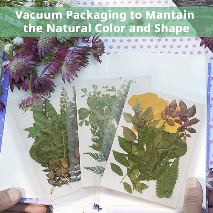 Cinvo 63 Pcs Real Dried Pressed Leaves Natural Assorted Dried Greenery with Tweezer for Resin Candle Jewelry Soap Nail Pendant Phone Case Art Craft DIY Embellishment Decorations(2023