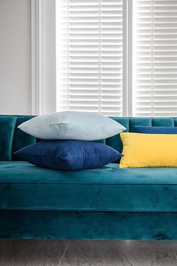 Throw Pillow Cases 18x18 Light-Blue: 2 Pack Cozy Soft Velvet Square Decorative Pillow Covers for Farmhouse Home Decor