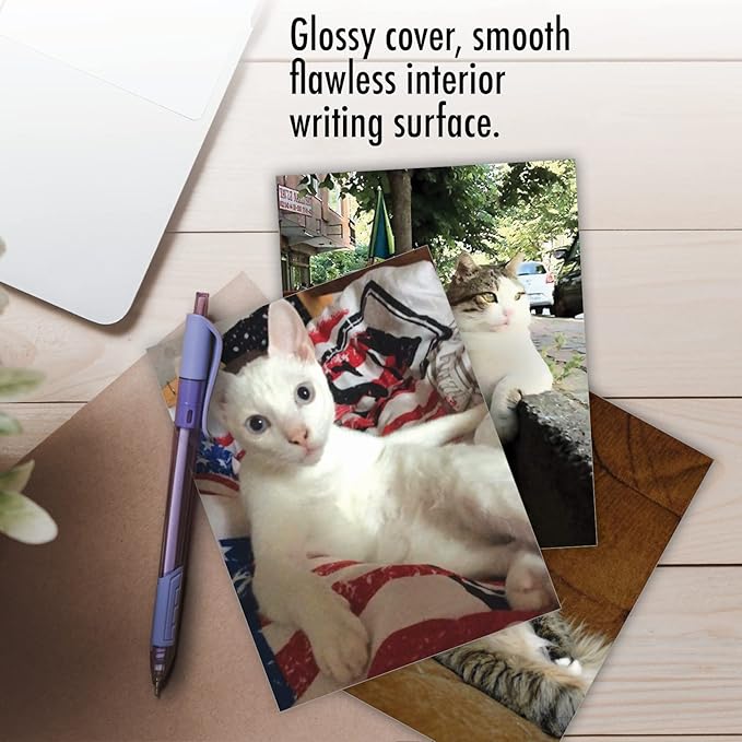 The Best Card Company - 10 All Occasion Blank Cat Cards (4 x 5.12 Inch) - Cute Assorted Bulk Card Set - Sitting Pretty Kitties M4613OCB-B1x10