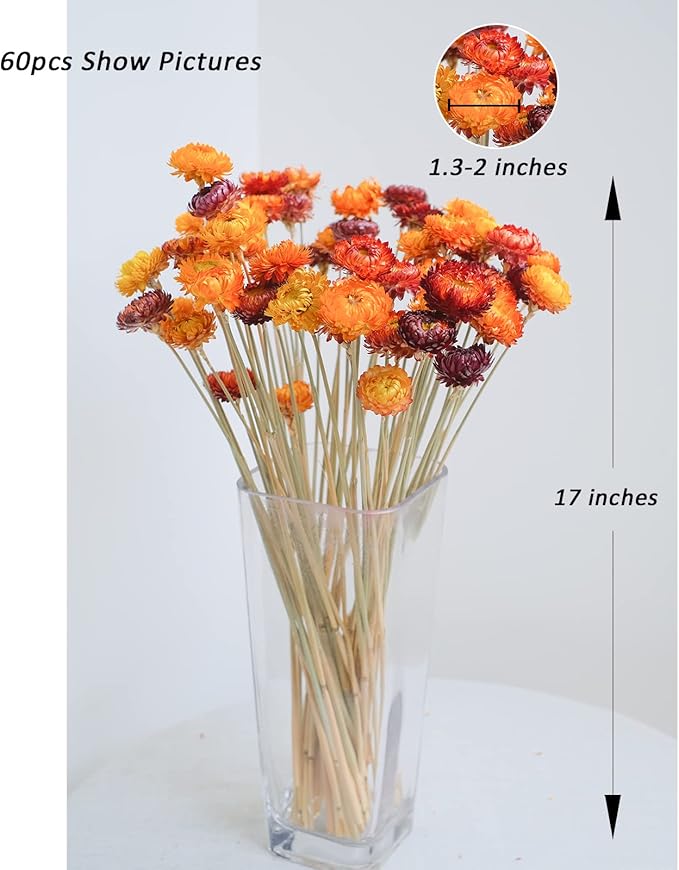 Natural Dried Straw Flower 20pcs, Natural Flowers Bouquet Daisies, Dried Daisies, Home Decoration,DIY Flower Arrangement