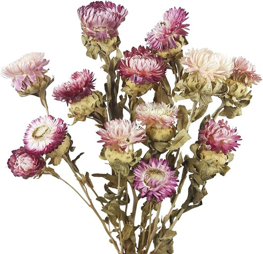 13 Pcs Dried Daisy Flower Bouquet Natural Dried Gerber Daisies Flowers Bundles Real Dried Flowers Mums Chrysanthemum Floral Arrangements for Wedding Party Table Centerpiece Decor Farmhouse