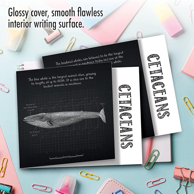 The Best Card Company - 10 Blank Note Cards with Envelopes (4 x 5.12 Inch) - Ocean Whale Images, Bulk Boxed Set - Whale Known MQ4960OCB-B1x10