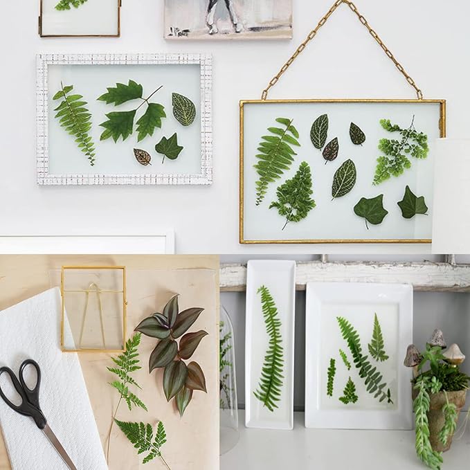 30PCS Green Dried Pressed Leaf Leaves, YouthBro Greenery Real Nature Plant Herbarium Set for DIY Jewelry Candle Scrapbook Art Craft Decors,Green