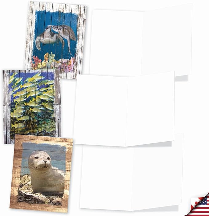 The Best Card Company - 10 Blank Note Cards with Envelopes (4 x 5.12 Inch) - Bulk All Occasion Cards Boxed - Ocean Driftwood Transfers AM6331OCB-B1x10