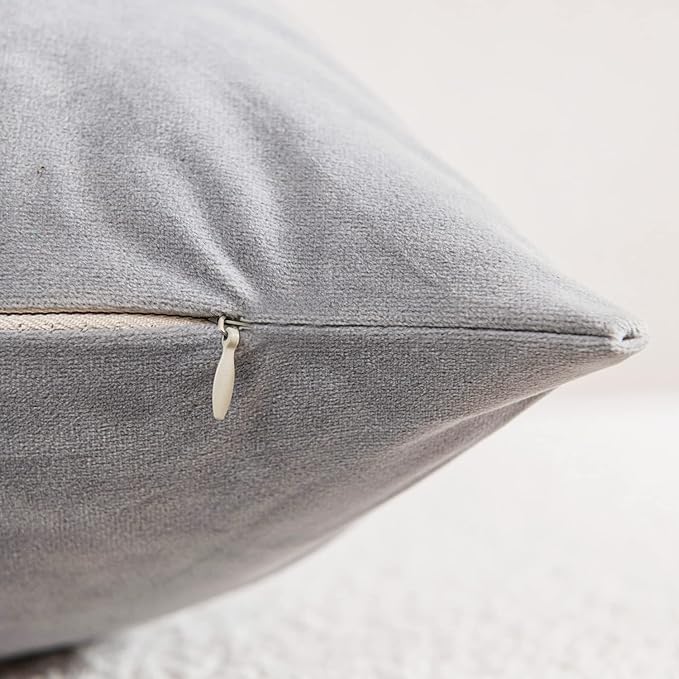 Decorative Pillow Cases 12x20 Light-Grey: 2 Pack Cozy Soft Velvet Rectangular Throw Pillow Covers for Farmhouse Home Decor
