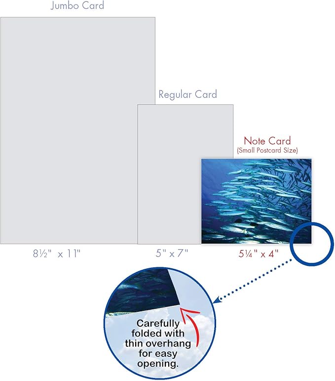 The Best Card Company - 10 All Occasion Blank Cards for Men and Women (4 x 5.12 Inch) - Nautical, Ocean, Sea Life Assortment of Notecards - Deep Thoughts M2012
