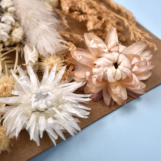 DALARAN 3 Pack Pressed Flowers for Candle Making DIY Dried Flowers Multiple Natural Pressed Flowers Colorful Decorative Dried Flowers