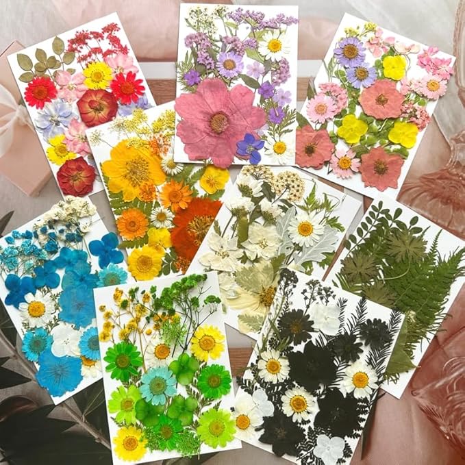 185 Pcs Pressed Dried Flowers for Resin Molds, Natural Real Flowers Leaves for DIY Art Crafts, Scrapbooking, Epoxy Jewelry, Candle, Soap Making, Nails Decors