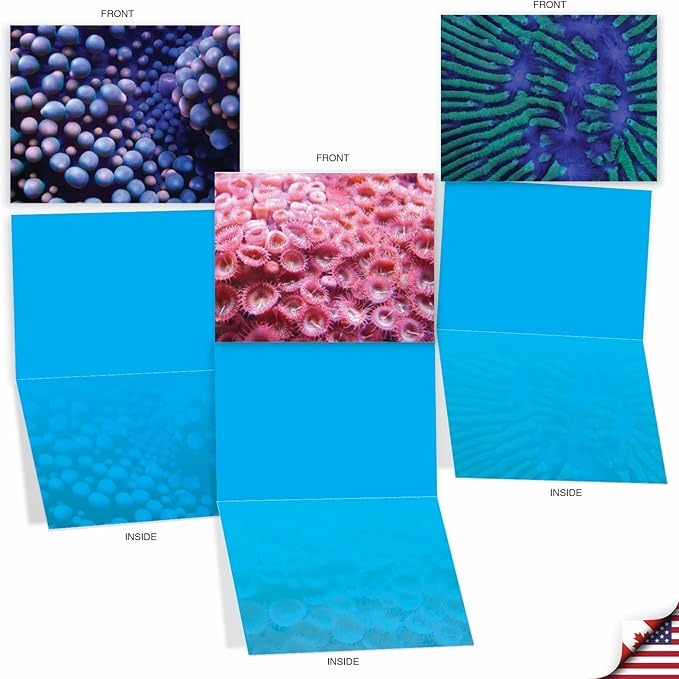 The Best Card Company - 10 All Occasion Blank Cards for Men and Women (4 x 5.12 Inch) - Nautical, Ocean, Sea Life Assortment of Notecards - Under the Sea M3103