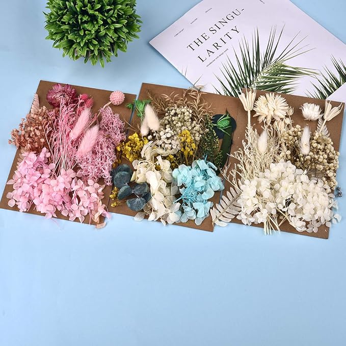 DALARAN 3 Pack Pressed Flowers for Candle Making DIY Dried Flowers Multiple Natural Pressed Flowers Colorful Decorative Dried Flowers